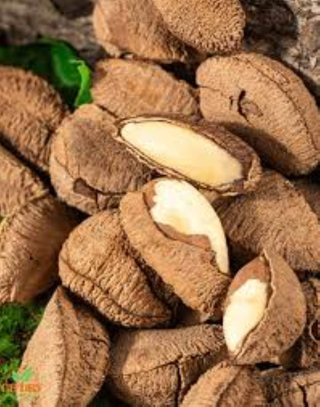 FRESH BRAZIL NUTS 250G